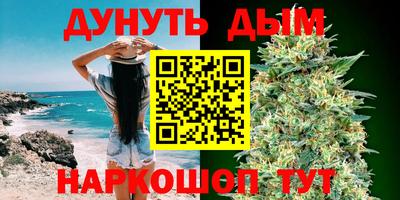индика Славгород