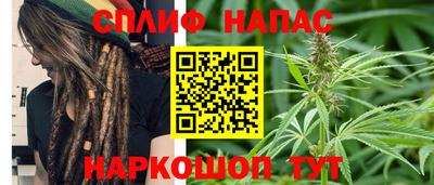 индика Славгород