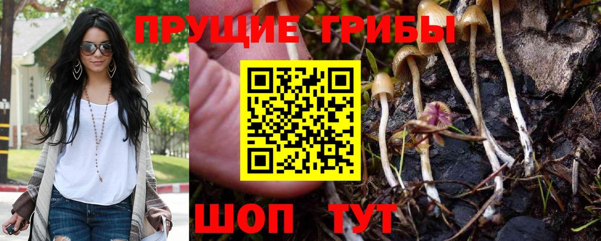 Псилоцибиновые грибы Psilocybe  Вход с VPN  Сальск  Псилоцибиновые грибы мицелий 